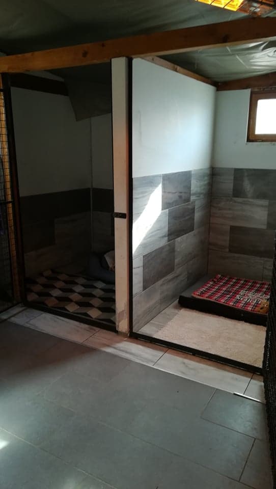 Unutrašnjost boksa s ležajem za psa