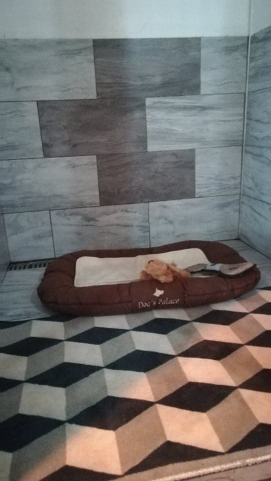 Unutrašnjost boksa s ležajem za psa